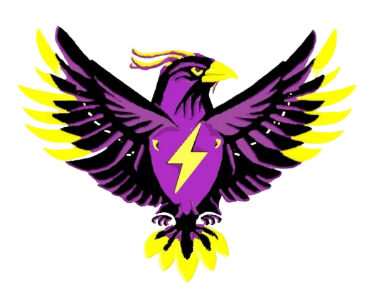 Team 10107 Thunderbirdz Logo